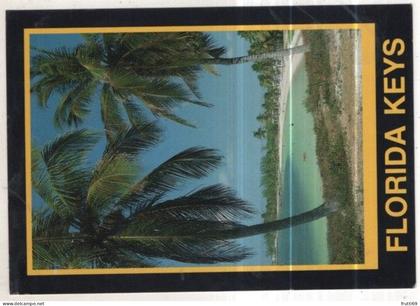 AK 262623 USA - Florida Keys