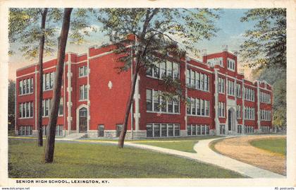 B538 US Senior High School Lexington Kentucky vintage postcard