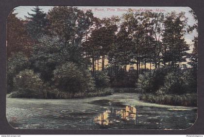Vintage postcard USA Malden MA Massachusetts Island Pond Pine Bank Park Nature