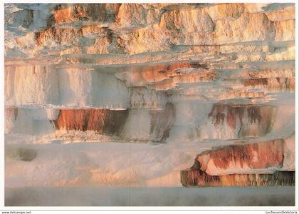 ETATS UNIS - Mammoth Hot Springs - Yellowstone National Park - Minerva Terrace - Rocher - Paysage - Carte postale