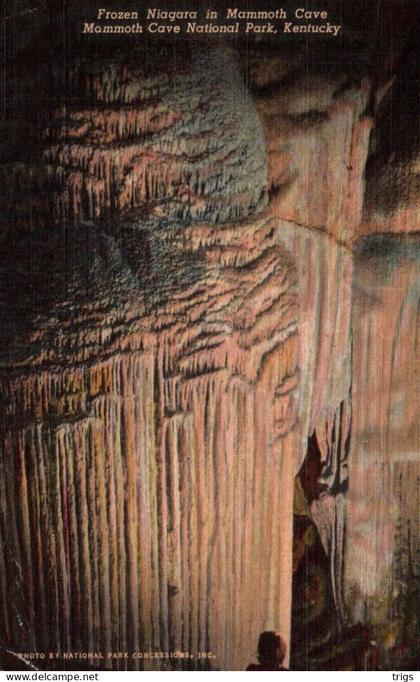 Mammoth Cave (National Park) - Frozen Niagara in Mammoth Cave