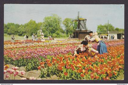 Vintage postcard USA Holland MI Michigan Nelis Tulip Farms Windmill Costumes