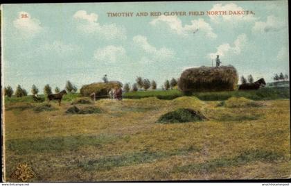 CPA North Dakota, Timothy and Red Clover Field
