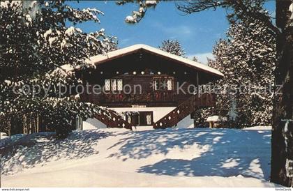 Conway New Hampshire Edelweiss