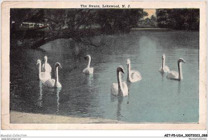AETP5-USA-0393 - LAKEWOOD - N J - the swans