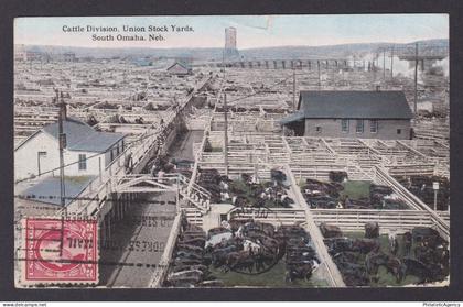Postcard, United States, Omaha NE, Cattle Division, Union Stock Yards