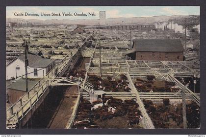 Postcard, United States, Omaha NE, Cattle Division, Union Stock Yards