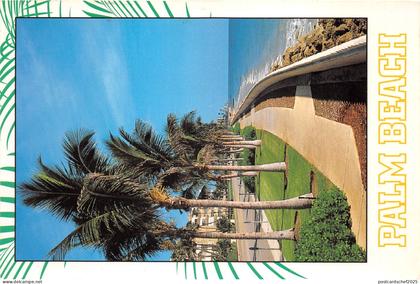 lot381 USA palm beach florida