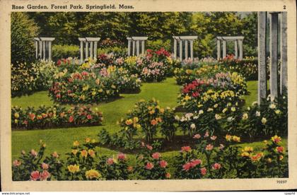 CPA Rose Graden Forest Park Springfield Mass