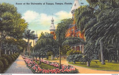 A988 US Florida Scene at University at Tampa vintage postcard