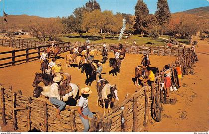 US 1995 Tanque Verde Guest Ranch Tucson Arizona Horses postcard B823