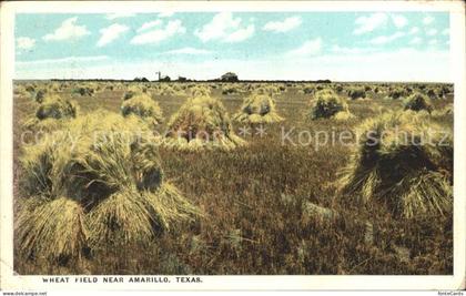 Amarillo Whet Field