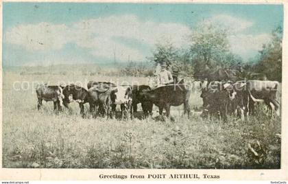 Port Arthur Texas USA Rinderherde
