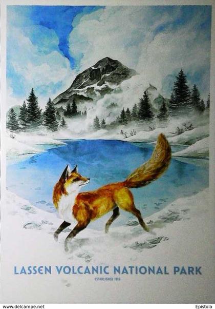 ►  LASSEN VOLCANIC   - National Park - California Fox (Renard)