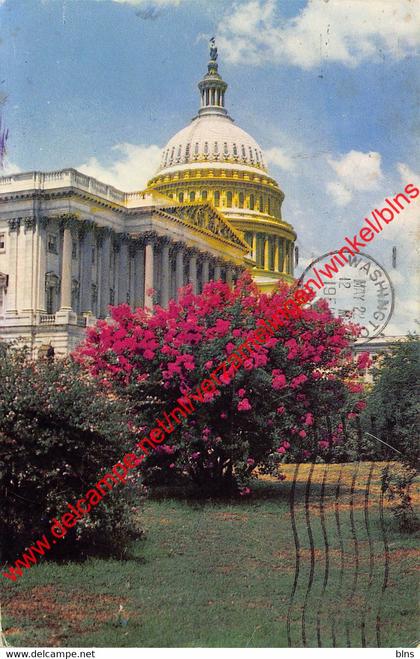 United States Capitol - Washington D.C. - United States USA