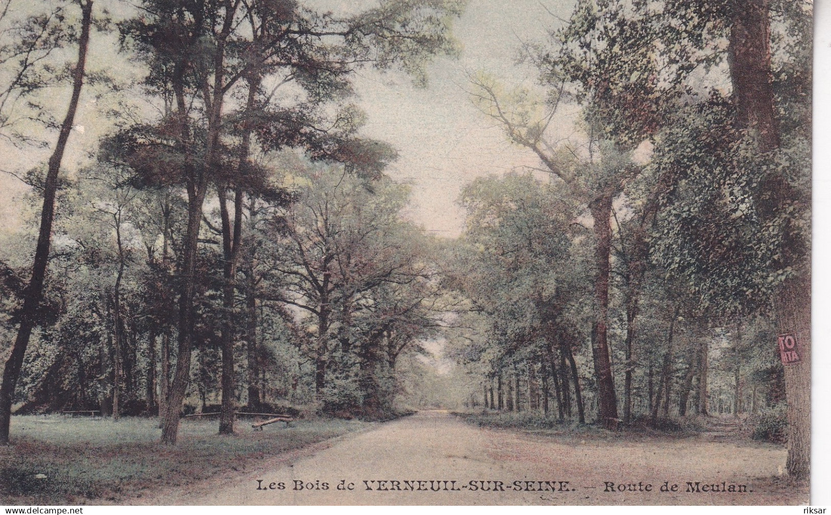 VERNEUIL SUR SEINE(ARBRE)