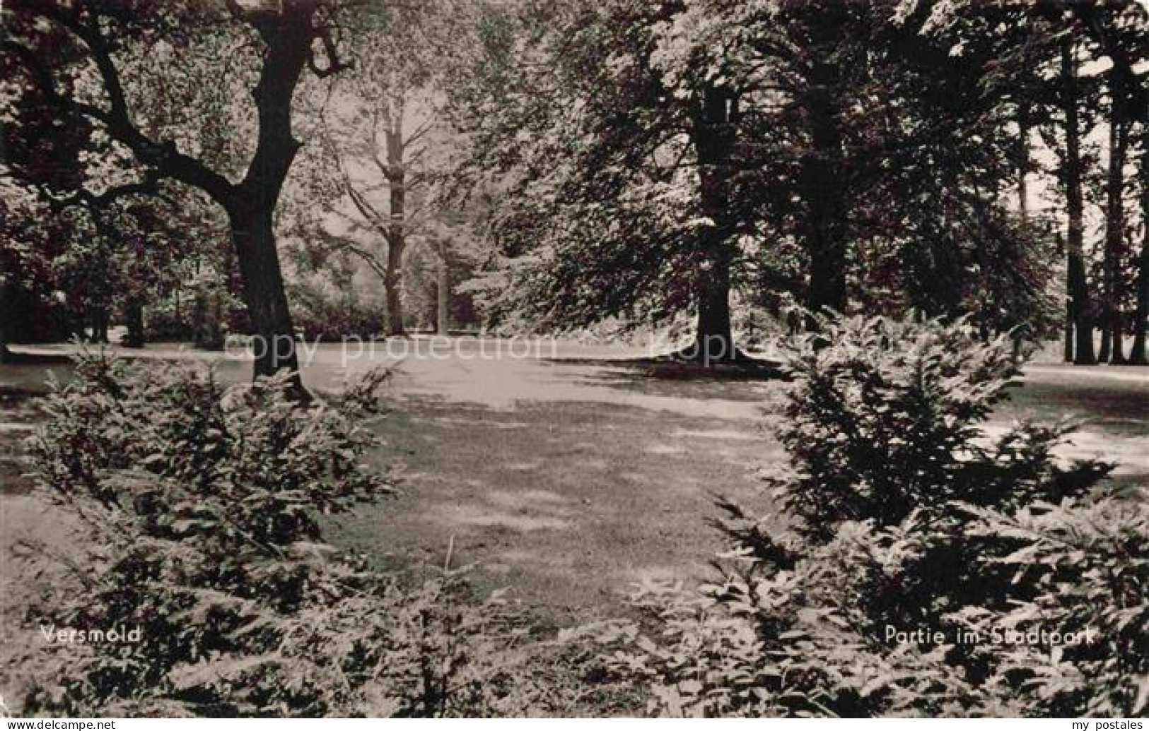 Versmold Guetersloh NRW Stadtpark Baeume Rasen Weg Nadelbaeume Laubbaeume