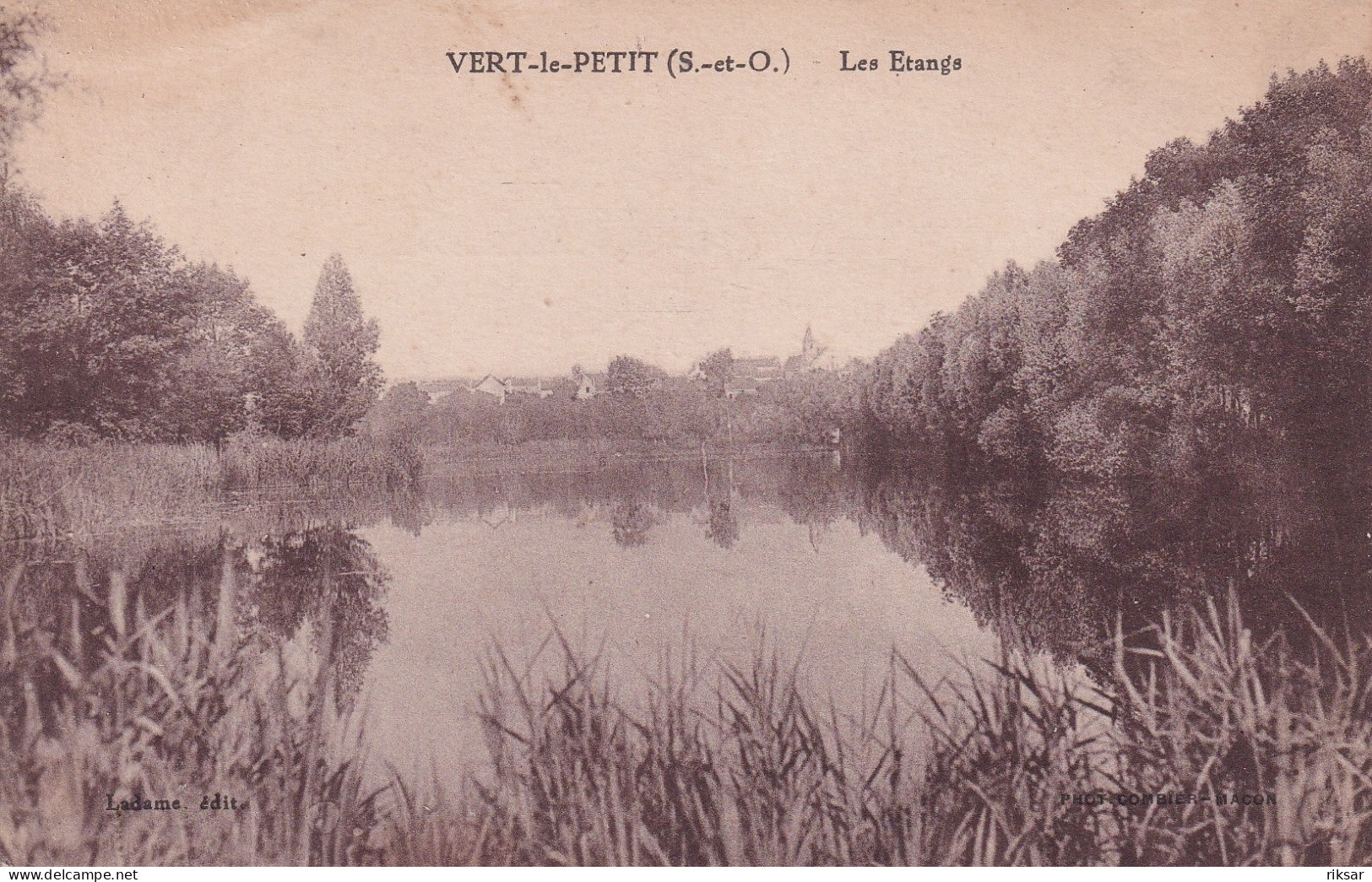 VERT LE PETIT