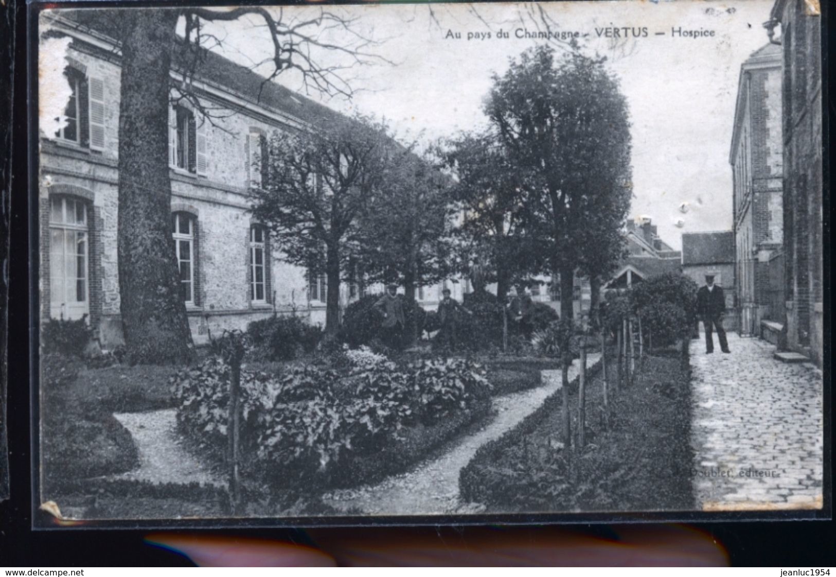 VERTUS                         DD