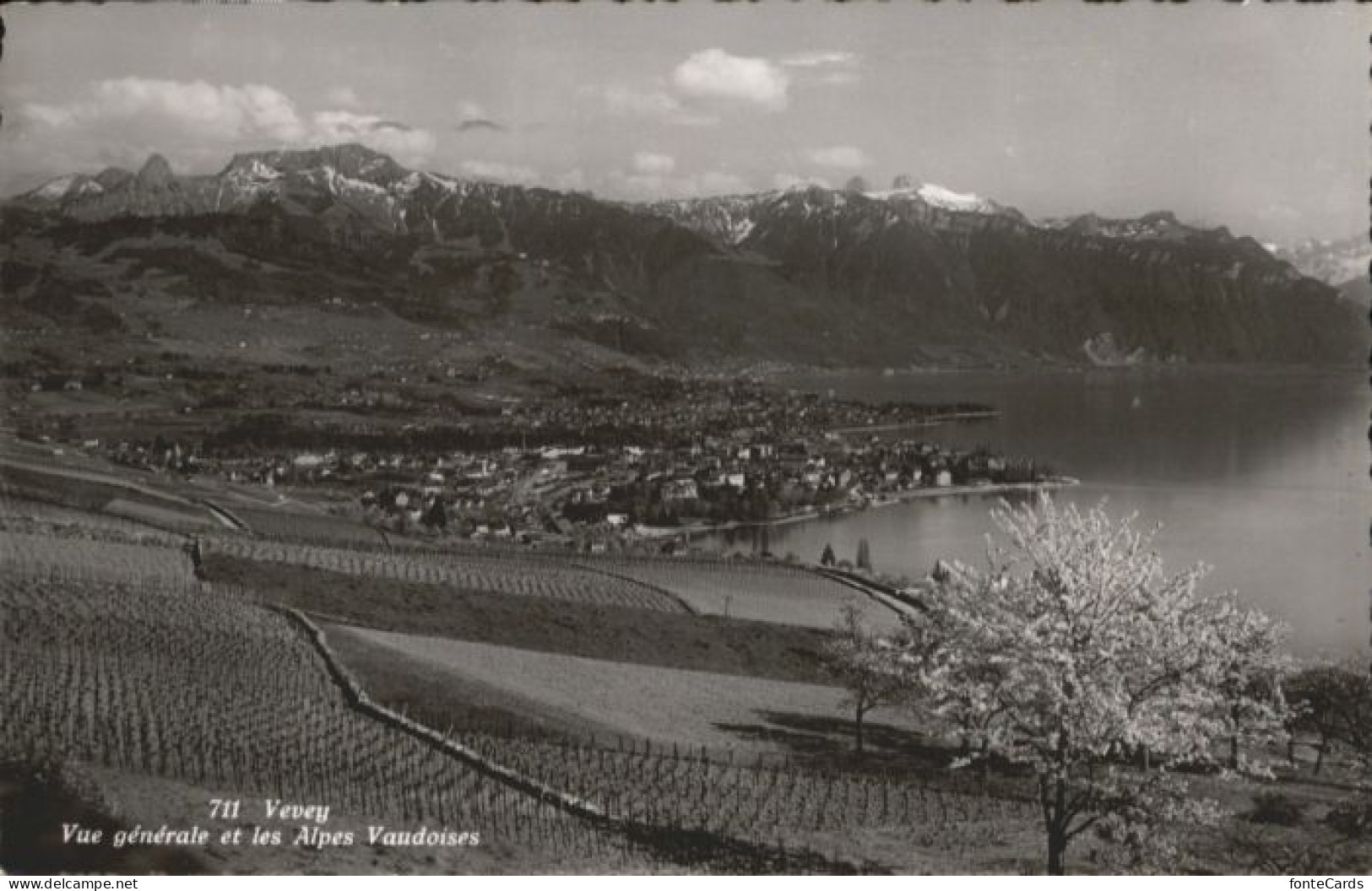 Vevey VD Vevey