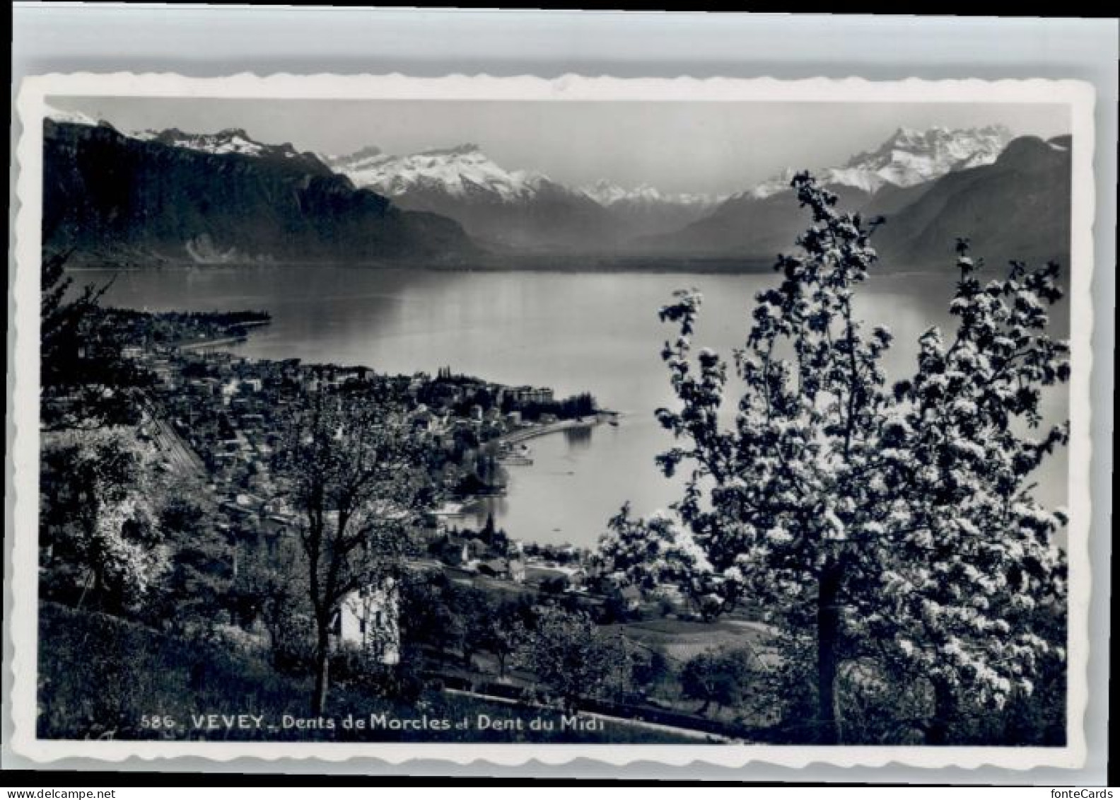 Vevey VD Vevey