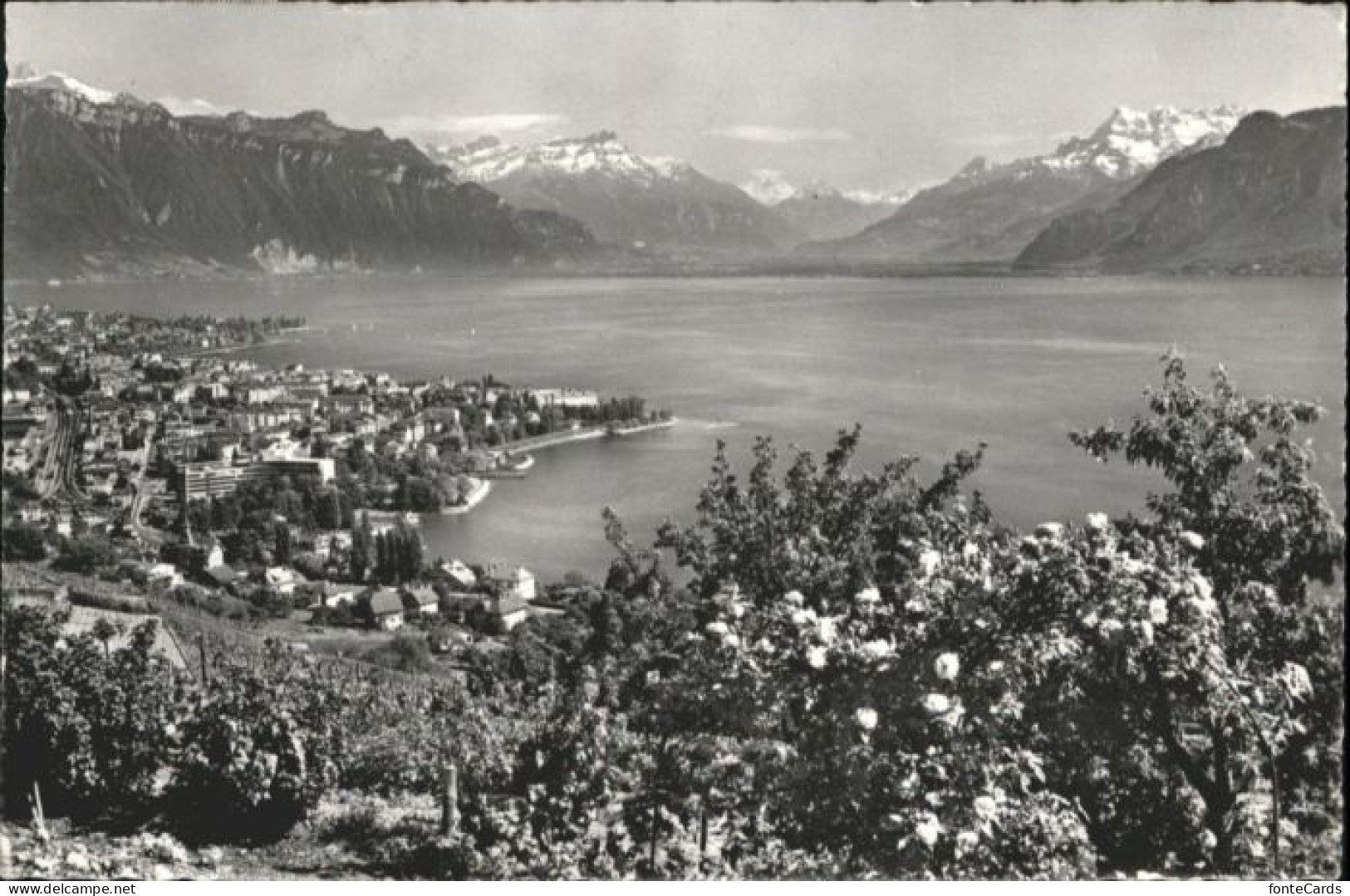 Vevey VD Vevey