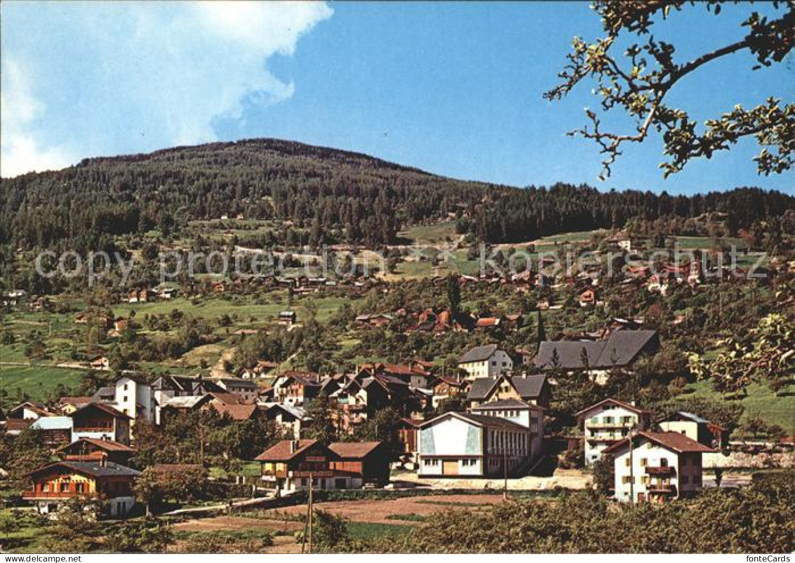 Vex Gesamtansicht