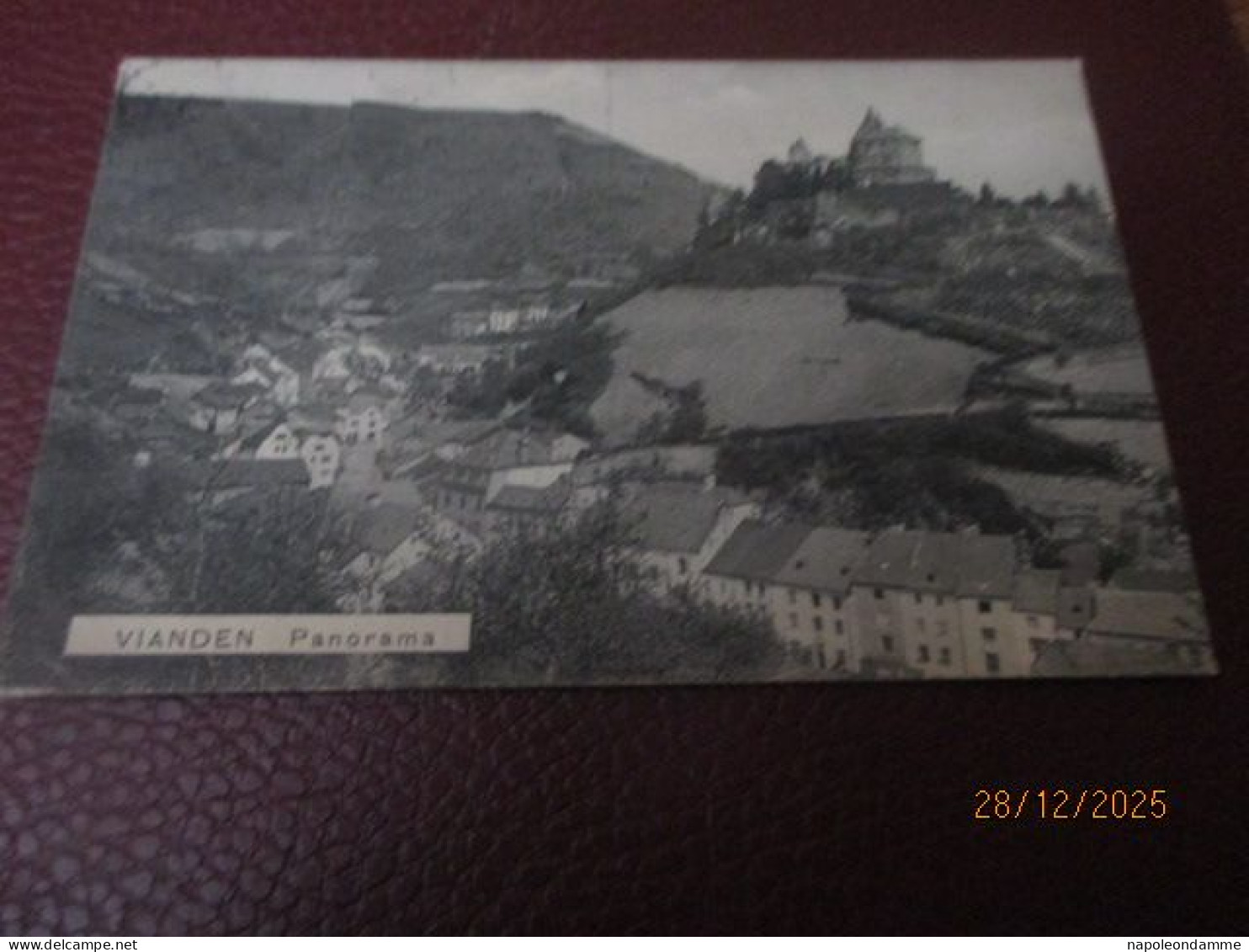 Vianden, Panorama