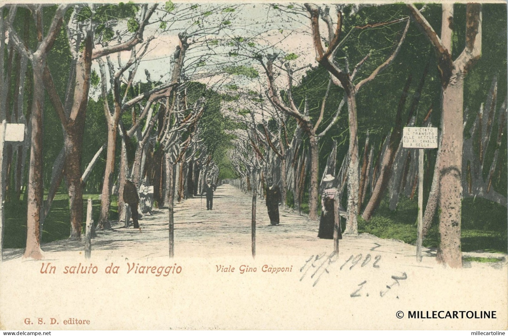 VIAREGGIO - Un saluto da Viareggio - Viale Gino Capponi 1902