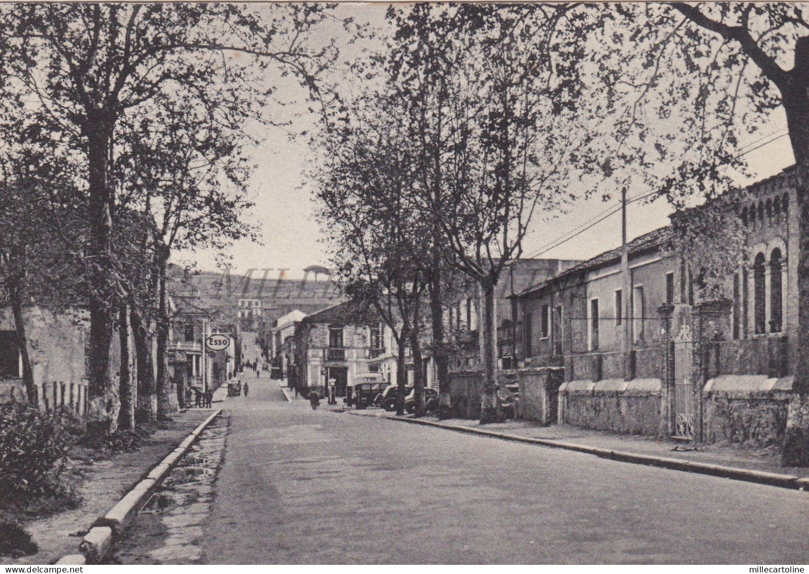 VIBO VALENTIA - Via Enrico Gagliardi, Cartolina