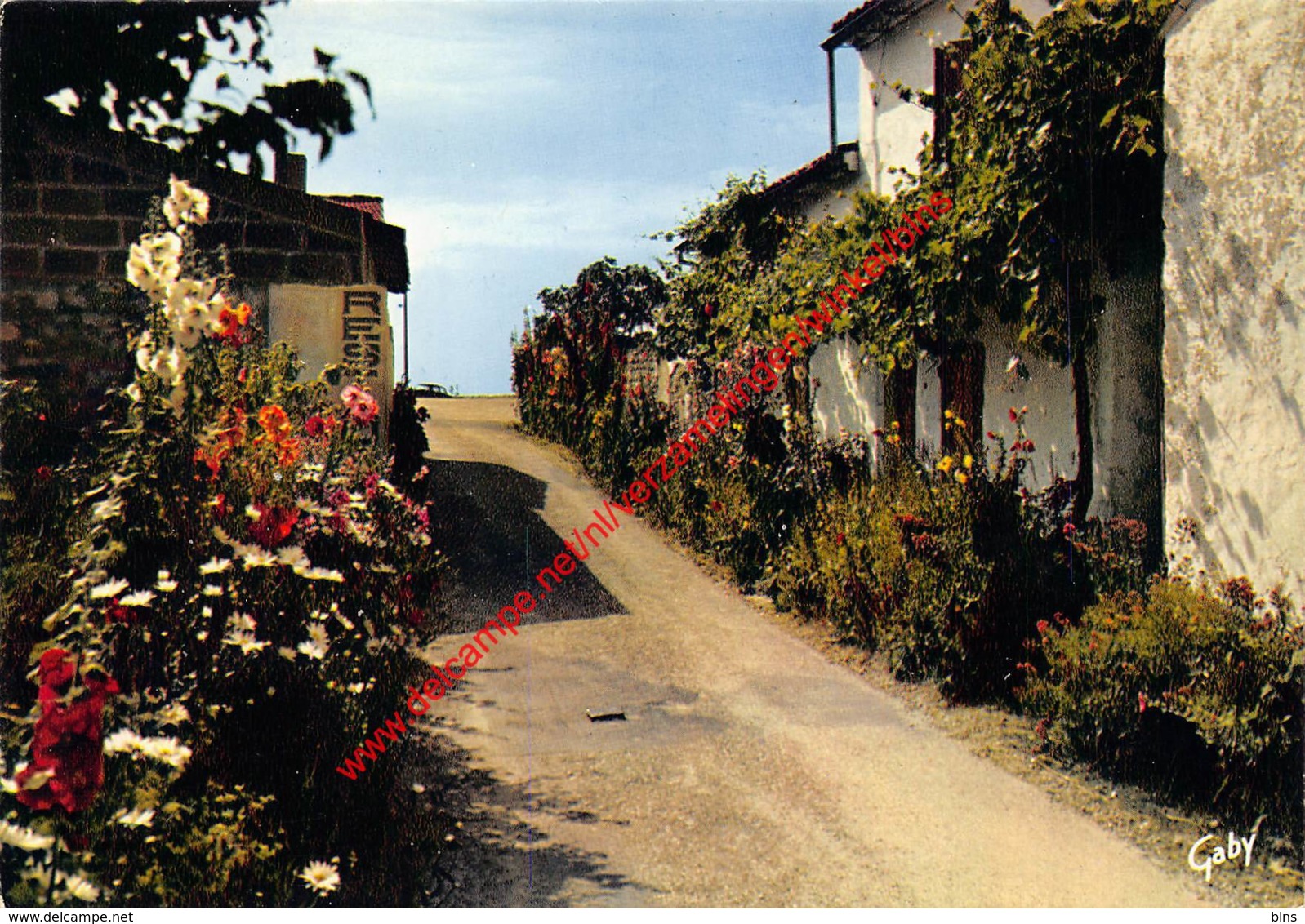 Vieilles maisons et ruelles fleuries - Talmont Saint Hilaire - (85) Vendée