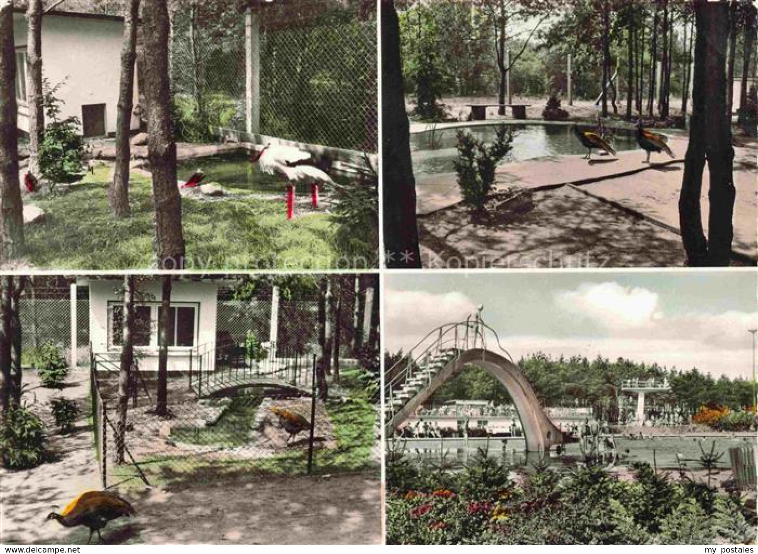 Viernheim Im Vogelpark und Schwimmbad