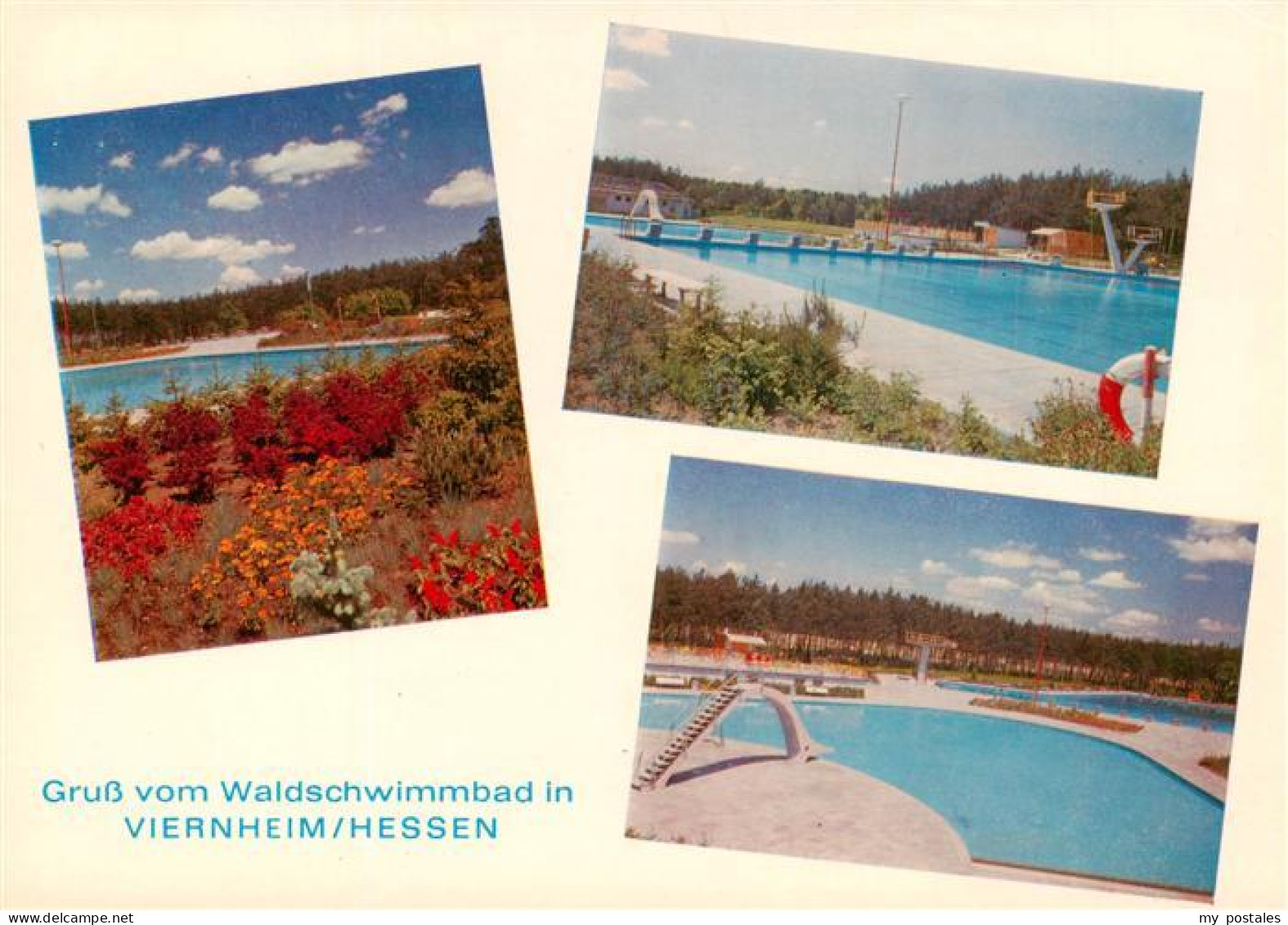Viernheim Park Waldschwimmbad Details