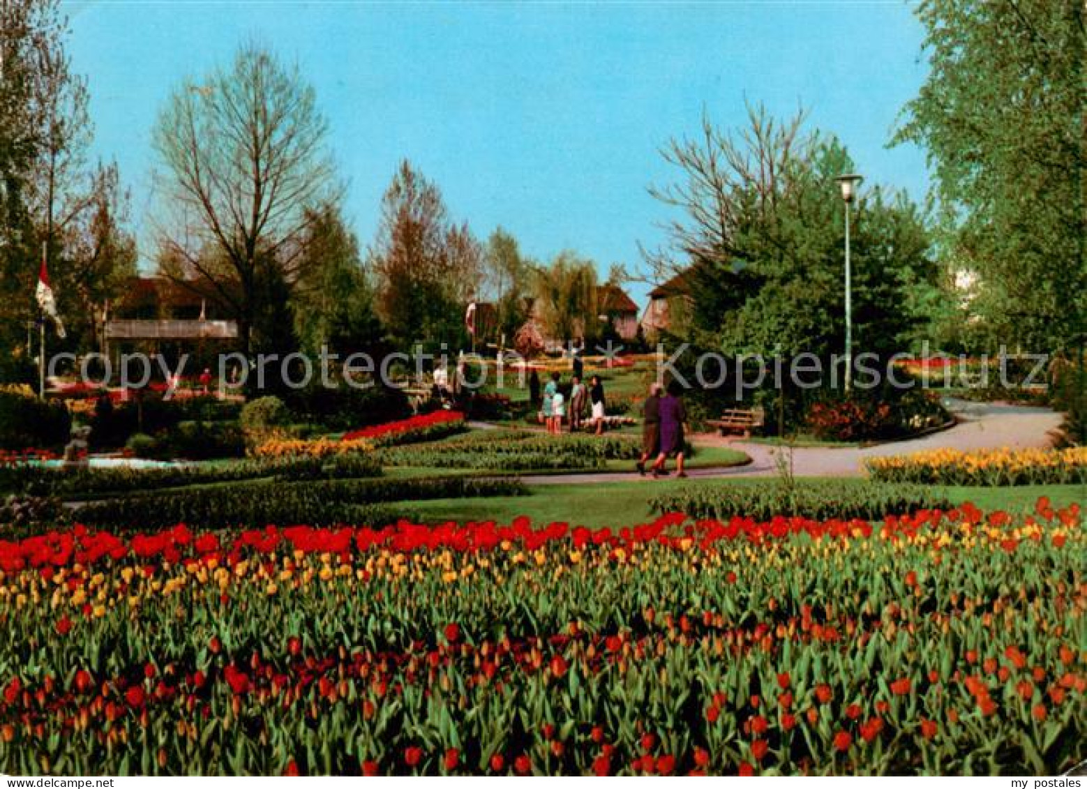 Viernheim Tulpenschau im Tivoli Park
