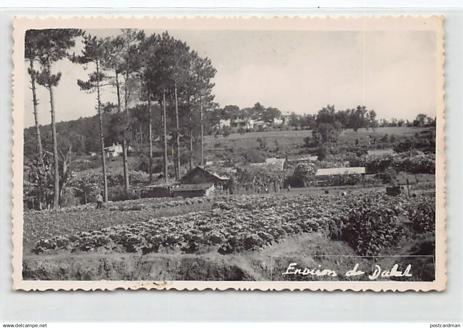 Viet-Nam - DALAT - Les environs - CARTE PHOTO