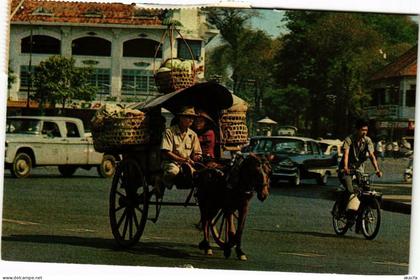 CPM Vietnam Countryside Horse drawn Carriage VIETNAM (729127)