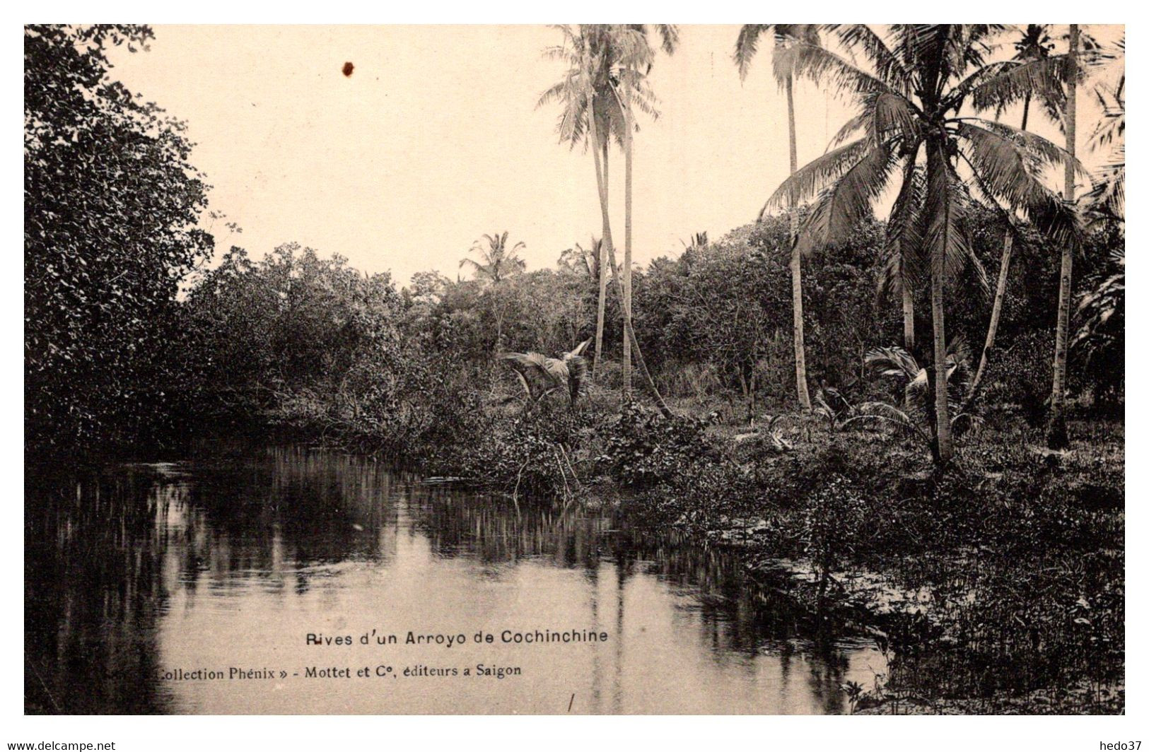 Vietnam - Cochinchine - Rives d'un Arroyo