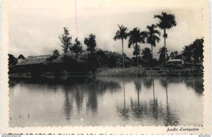 Vietnam - Jardin d arequiers