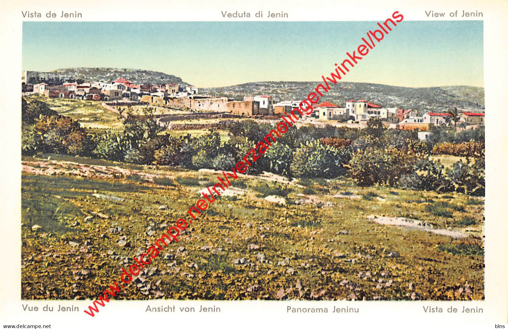 View of Jenin - Palestina Israel