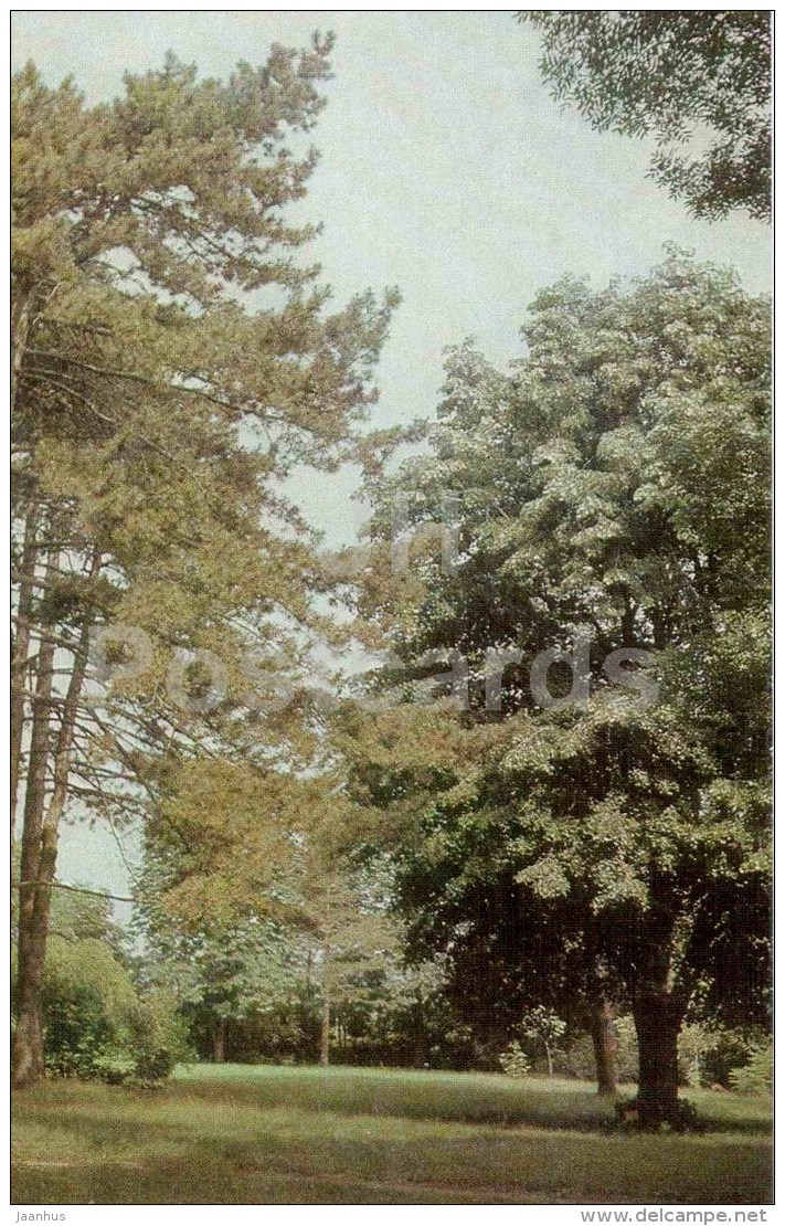 village of Tsaul - Views of Moldova - 1966 - Moldova USSR - unused