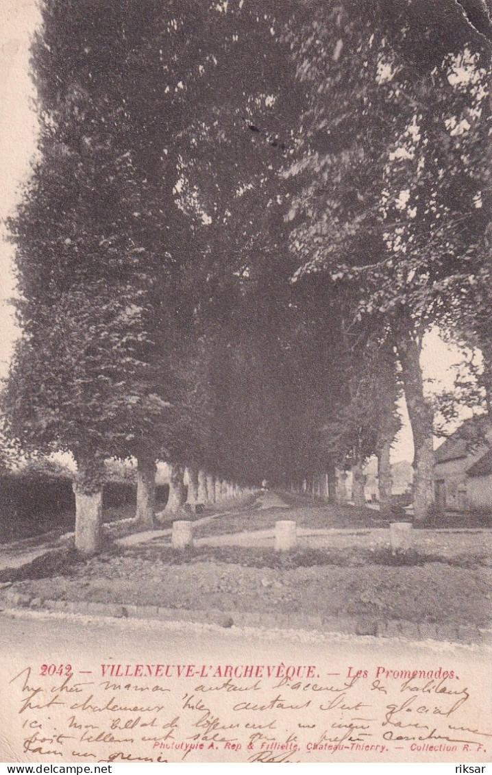 VILLENEUVE L ARCHEVEQUE(ARBRE)