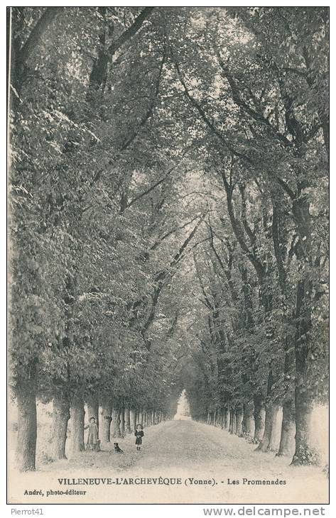 VILLENEUVE L'ARCHEVEQUE - Les Promenades