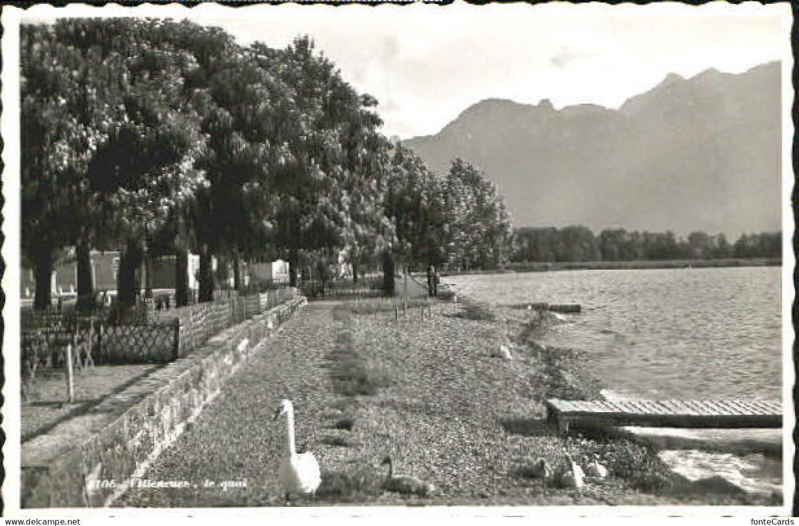 Villeneuve Villeneuve