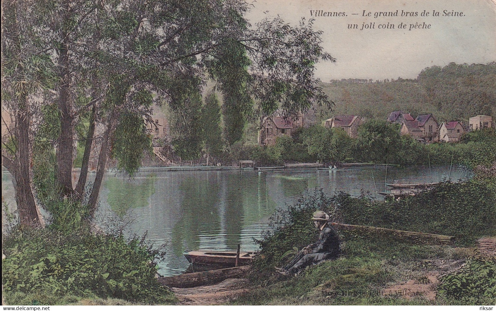 VILLENNES SUR SEINE(ARBRE)