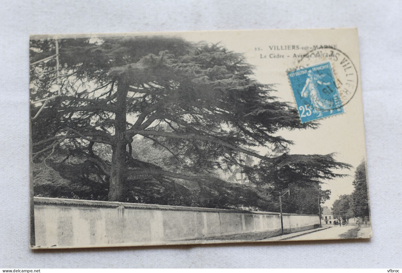 Villiers sur Marne, le Cèdre, avenue de l'Isle, Val de Marne 94