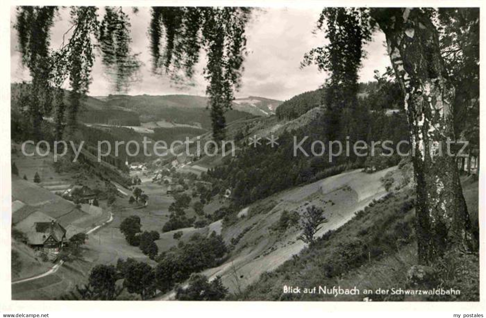 Villingen-Schwenningen Nussbach