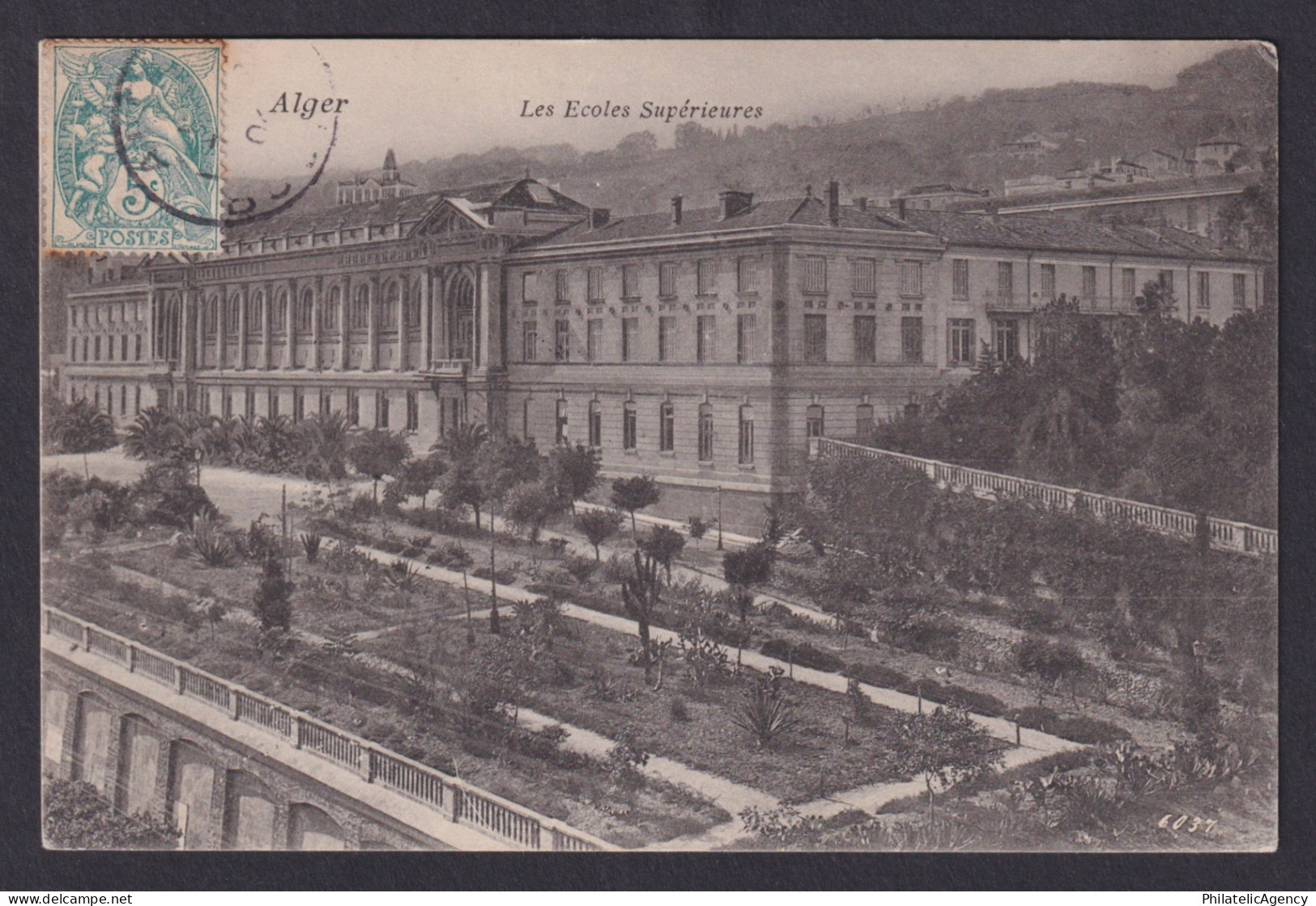 Vintage postcard Algeria Algiers University Higher Schools Building Garden View