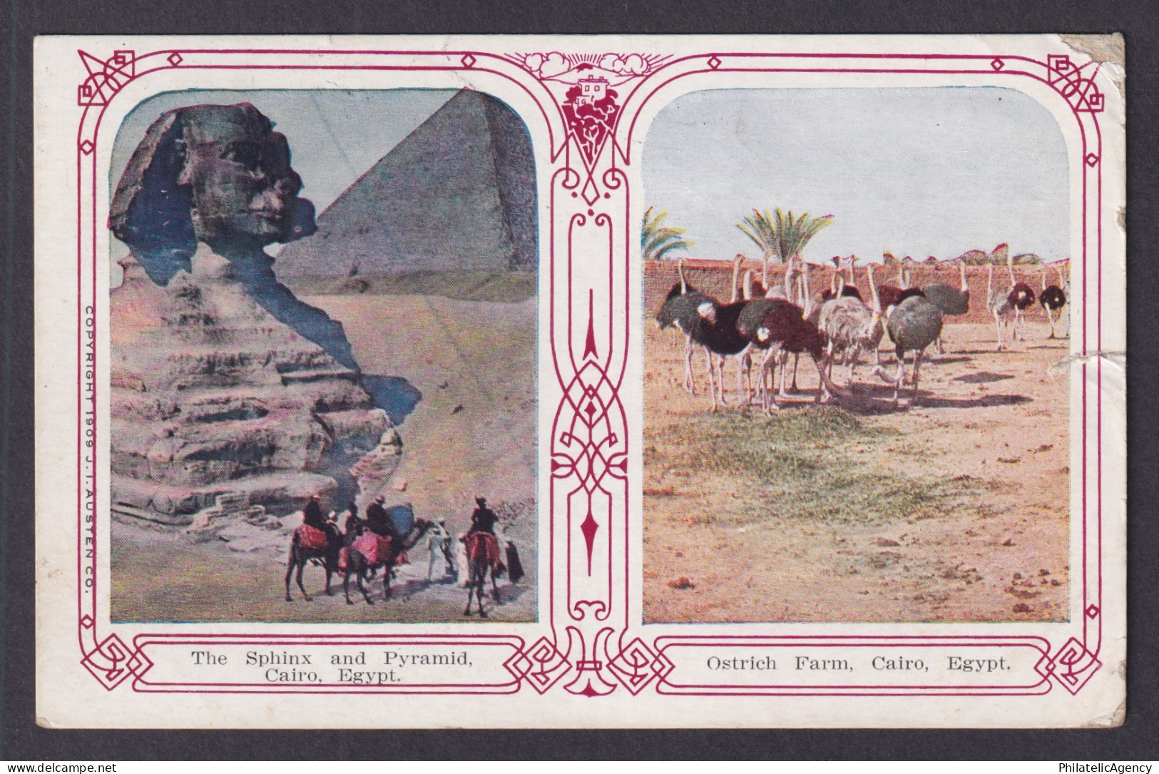 Vintage postcard EGYPT Cairo Sphinx and Pyramid Ostrich Farm