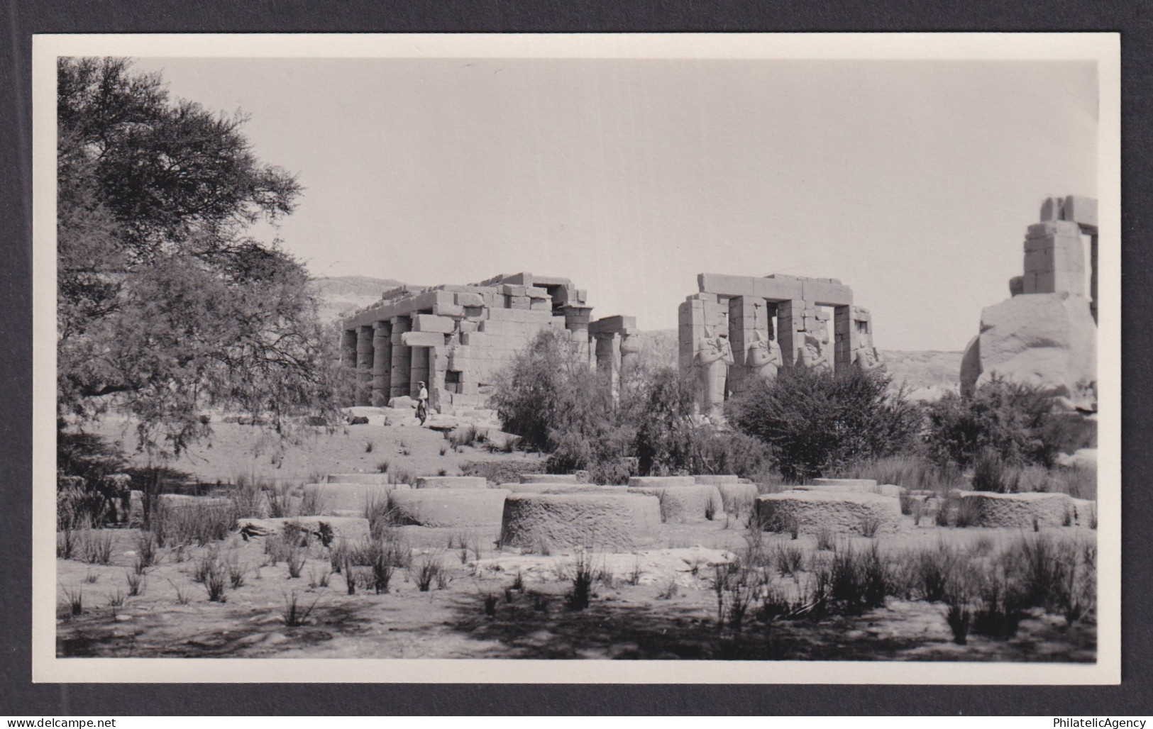 Vintage postcard EGYPT Luxor Ramesseum RPPC