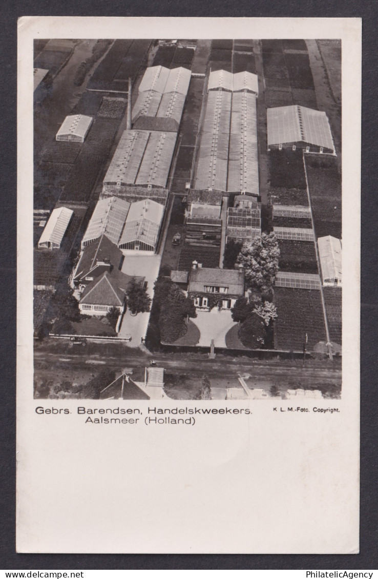 Vintage Postcard Netherlands Aalsmeer Gerbs Barendsen